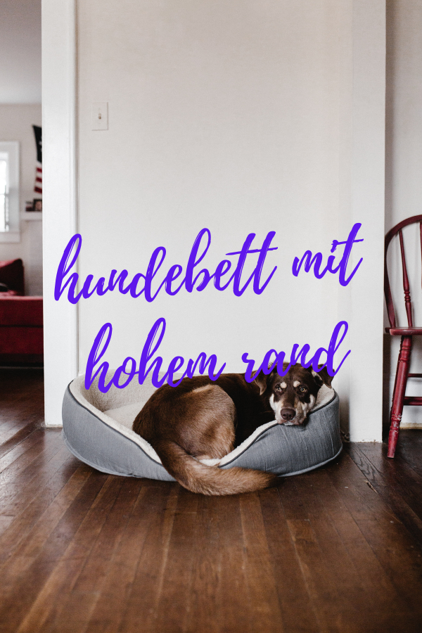 hundebett mit hohem rand