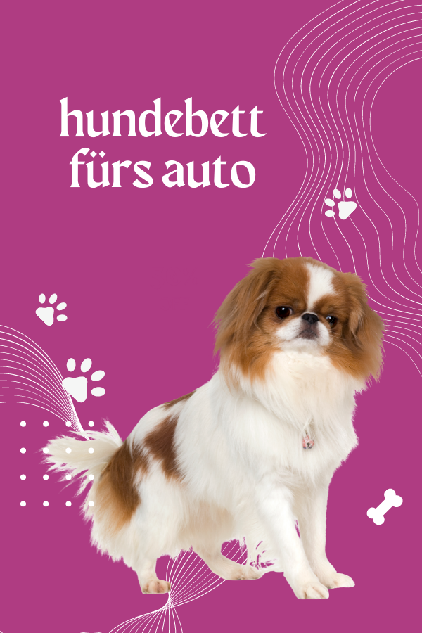 hundebett fürs auto